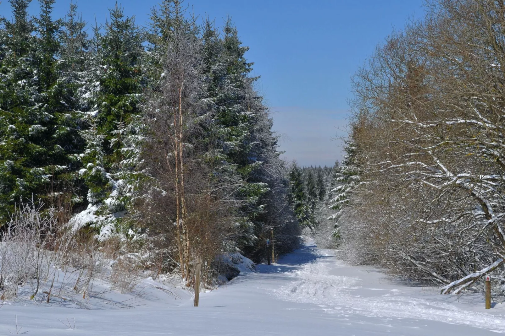 Les Doyards 4-Gebied winter 20km
