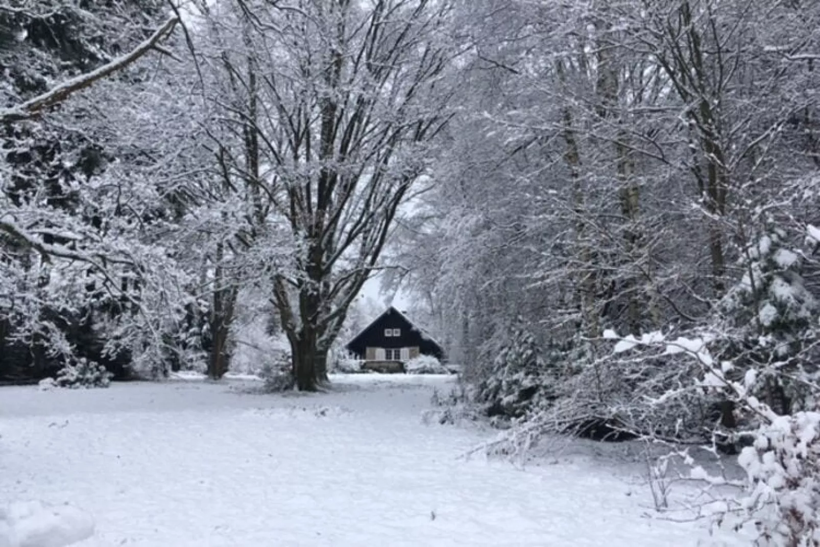 Johanne Louise-Gebied winter 1km