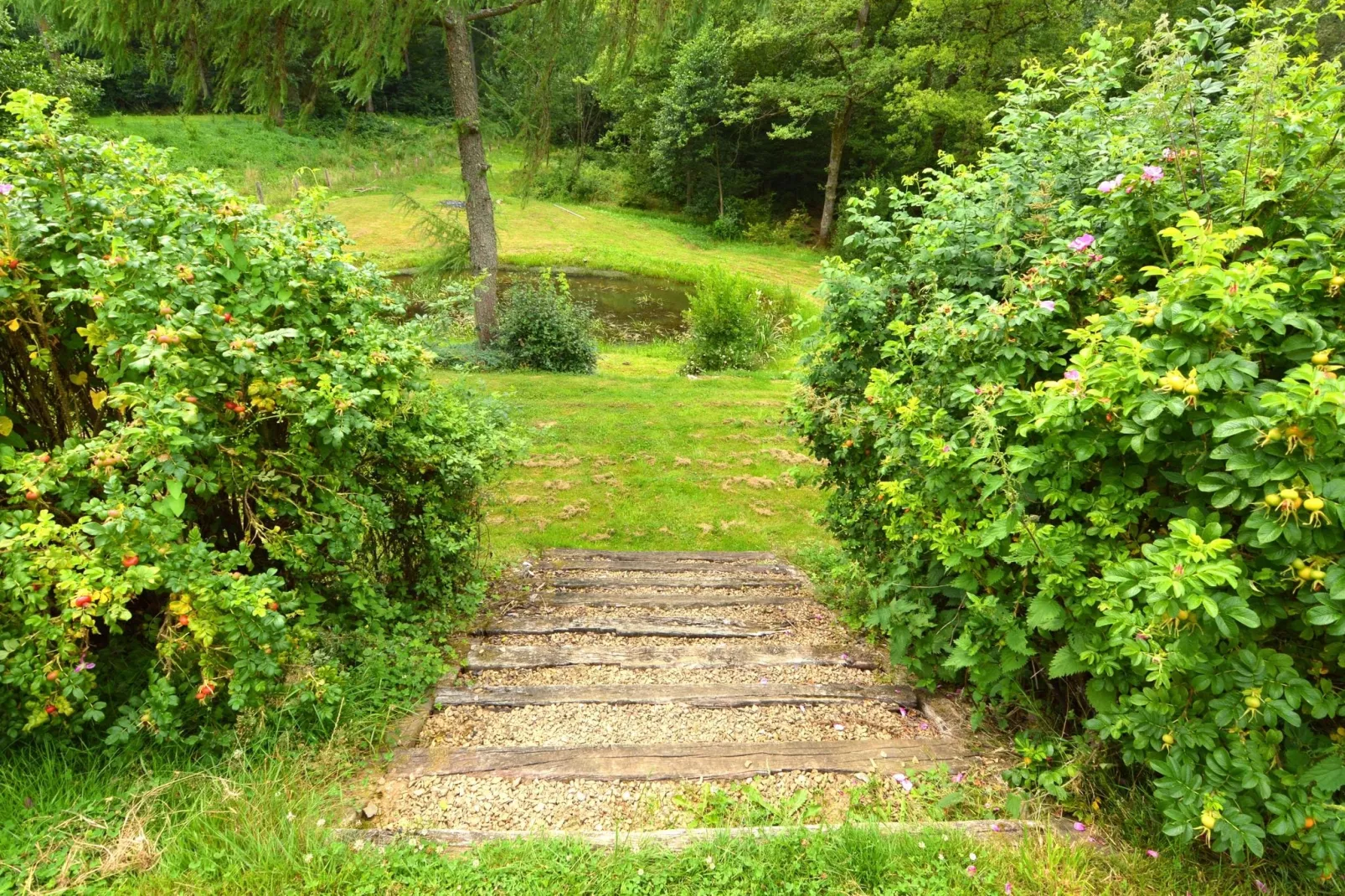 Gîte de la Semois-Tuinen zomer