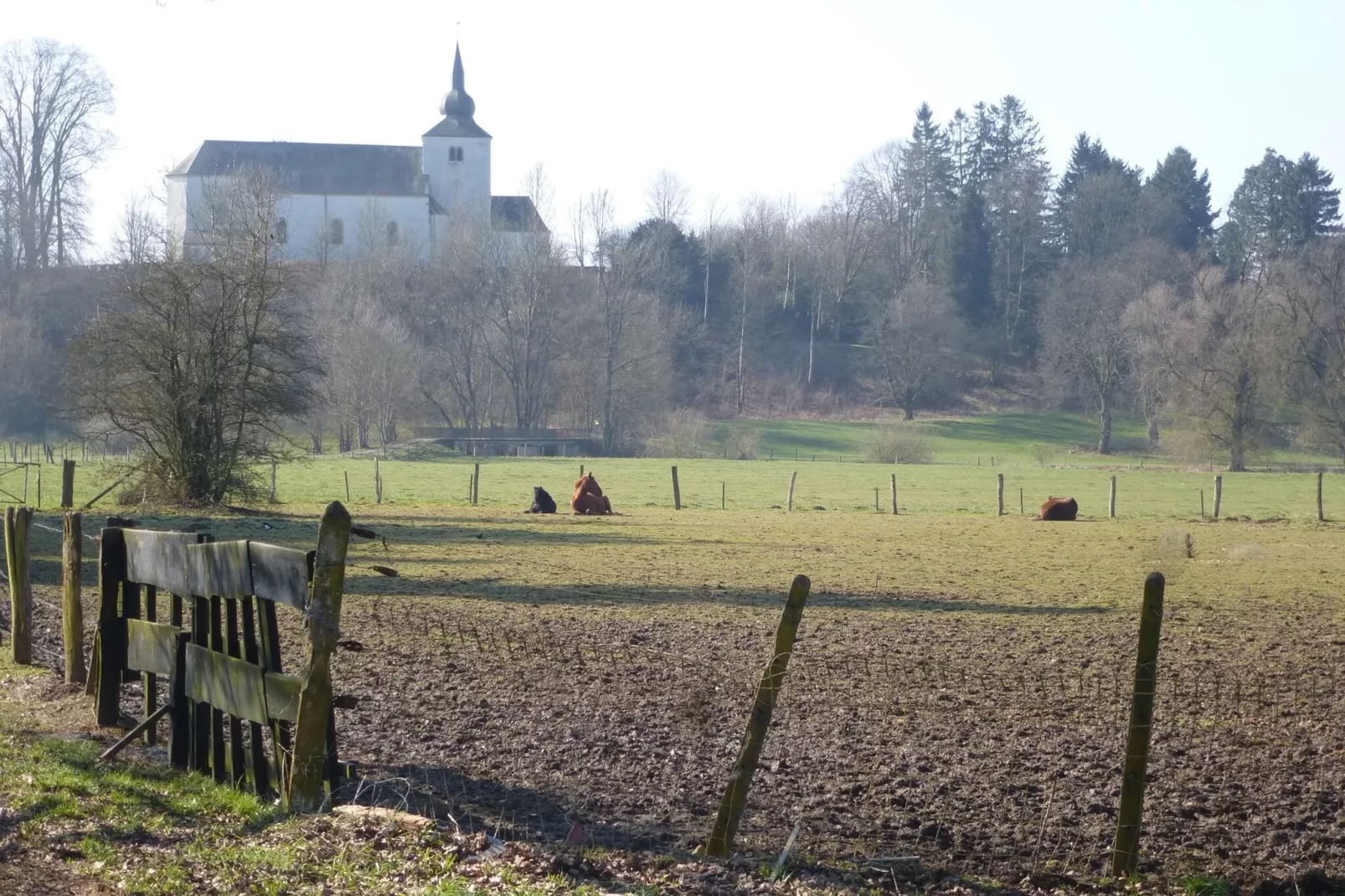 Le Pré en Bulles-Gebieden zomer 1km