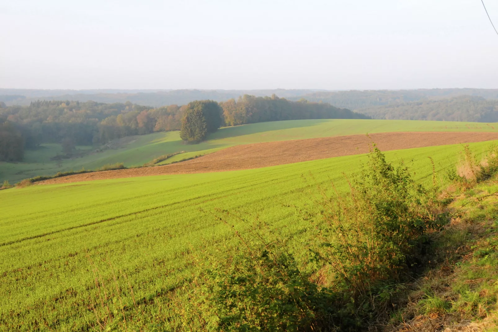 Le Pré en Bulles-Gebieden zomer 5km