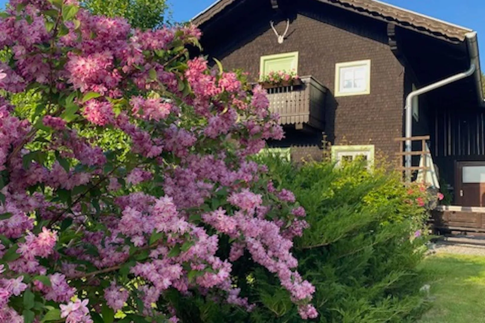 Bayerischer Wald-Buitenkant zomer