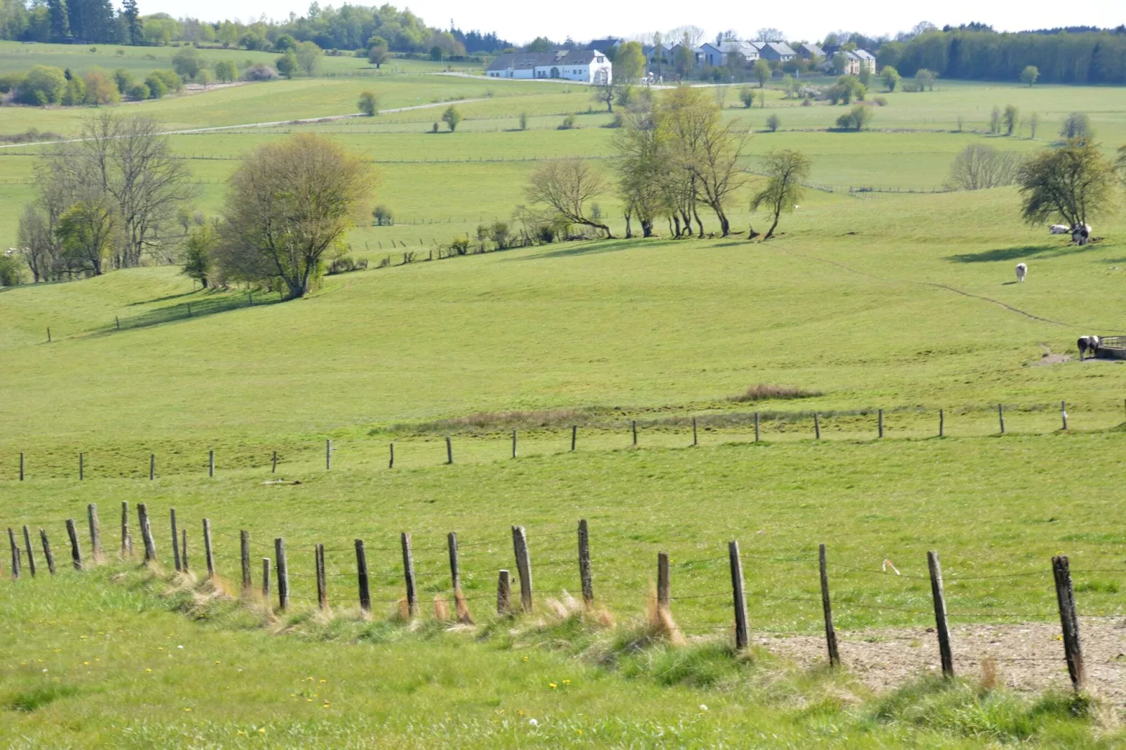 Entre Gaume et Ardenne-Gebieden zomer 5km