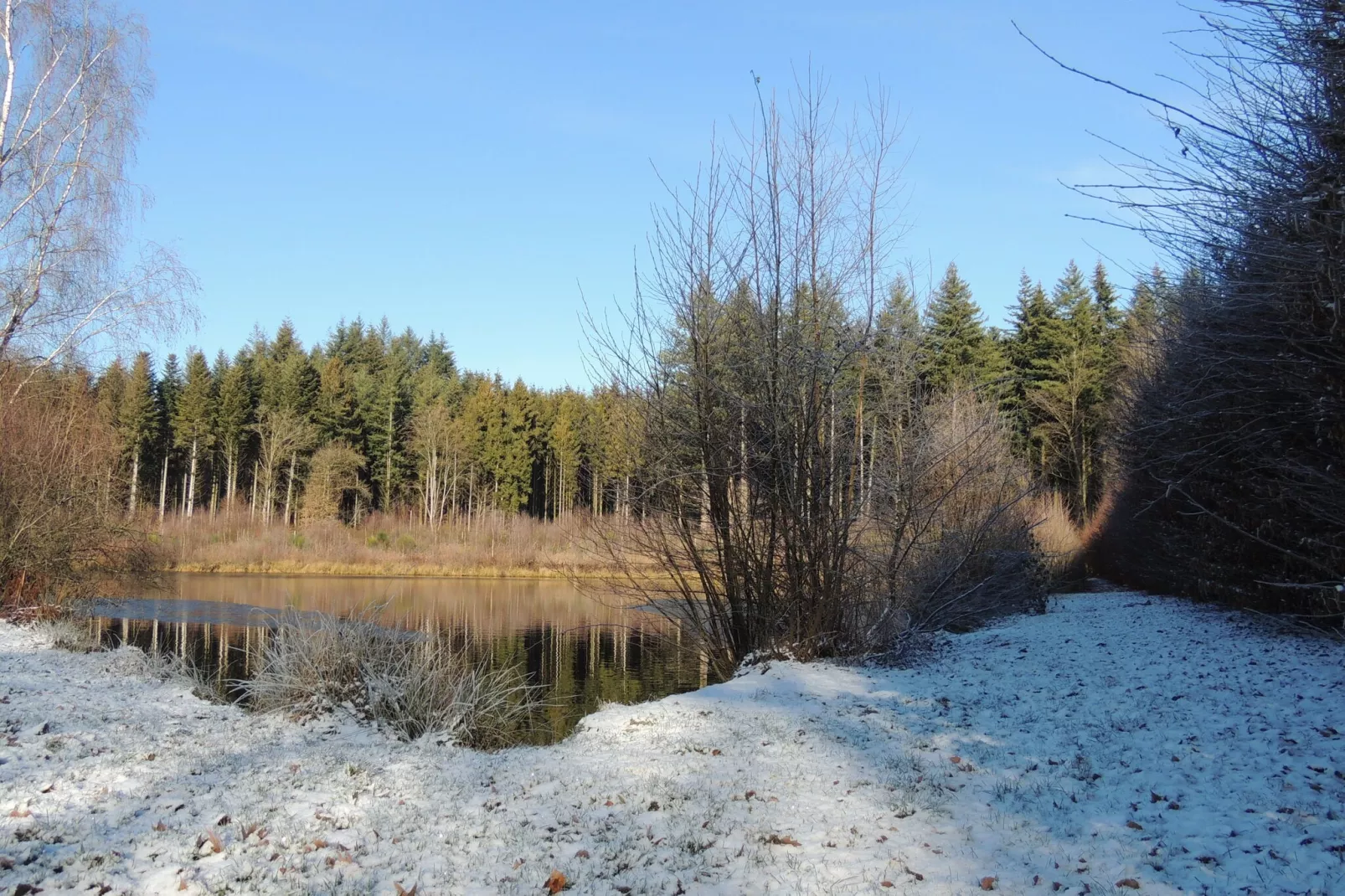 Domaine du Pichoux-Tuin winter