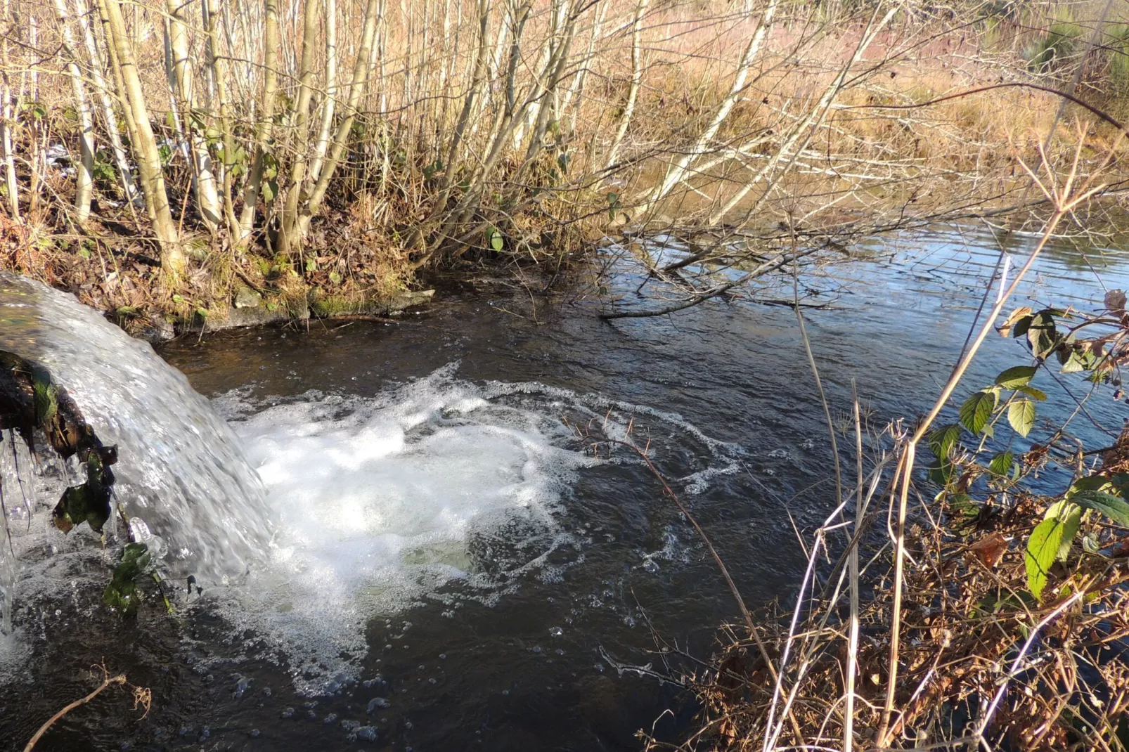 Domaine du Pichoux-Tuin winter