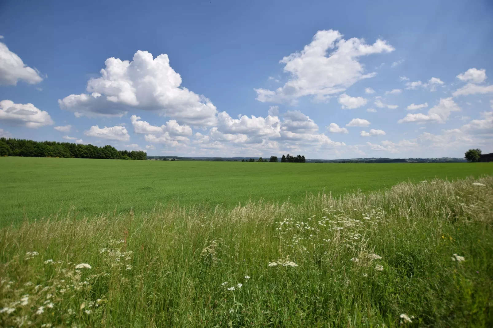 Le Sart-Gebieden zomer 1km