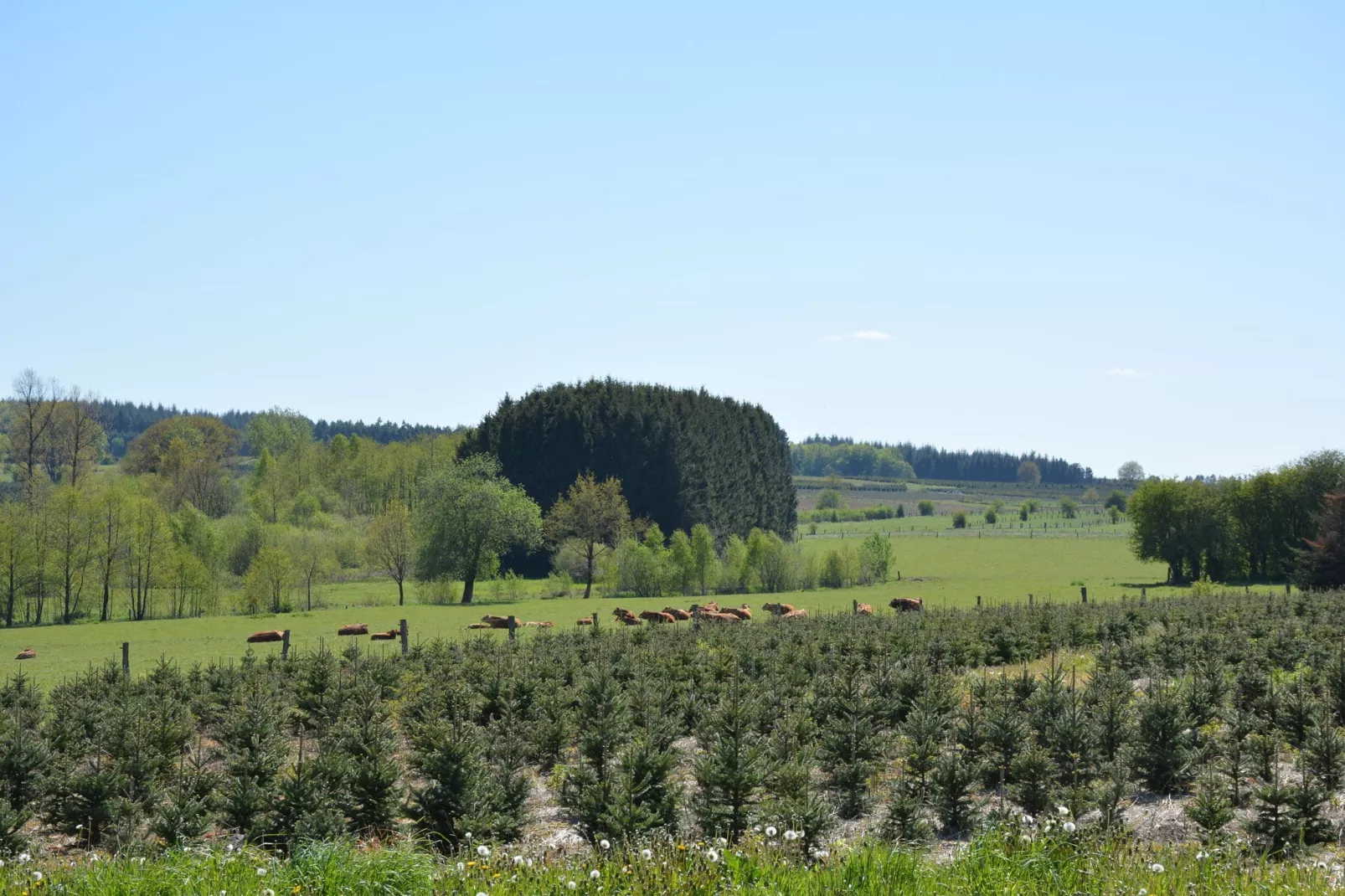 La Pépinière-Gebieden zomer 1km