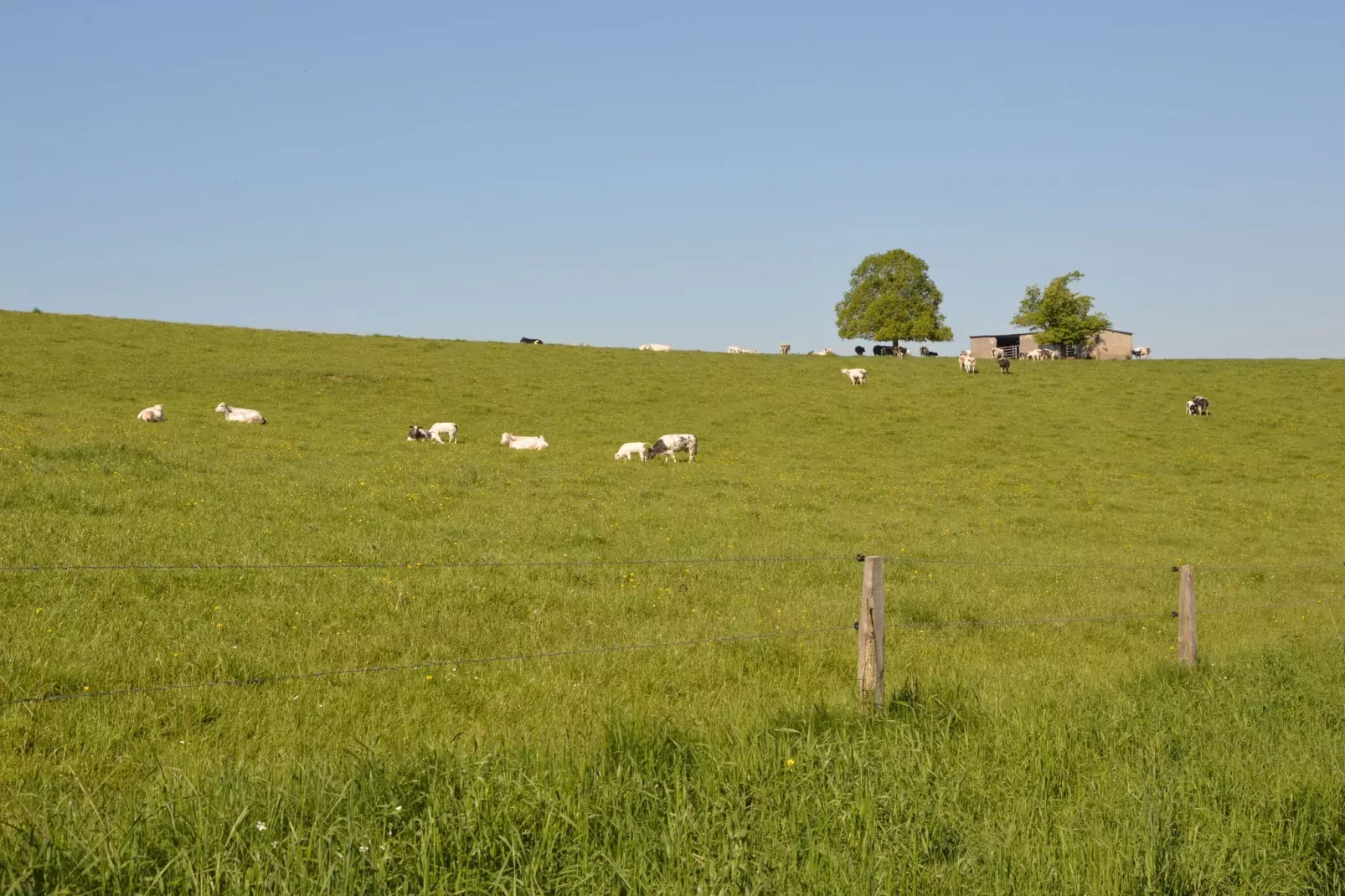 Belvédère-Gebieden zomer 20km