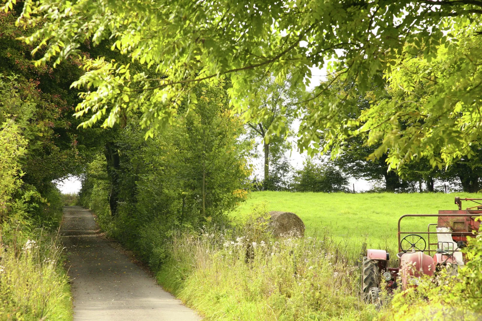 De Kleine Beer-Gebieden zomer 20km