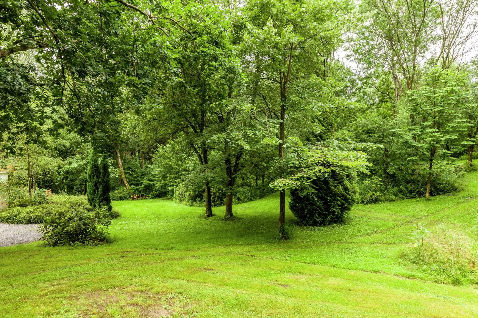 Domaine De L'Ecureuil 2-Gebieden zomer 1km