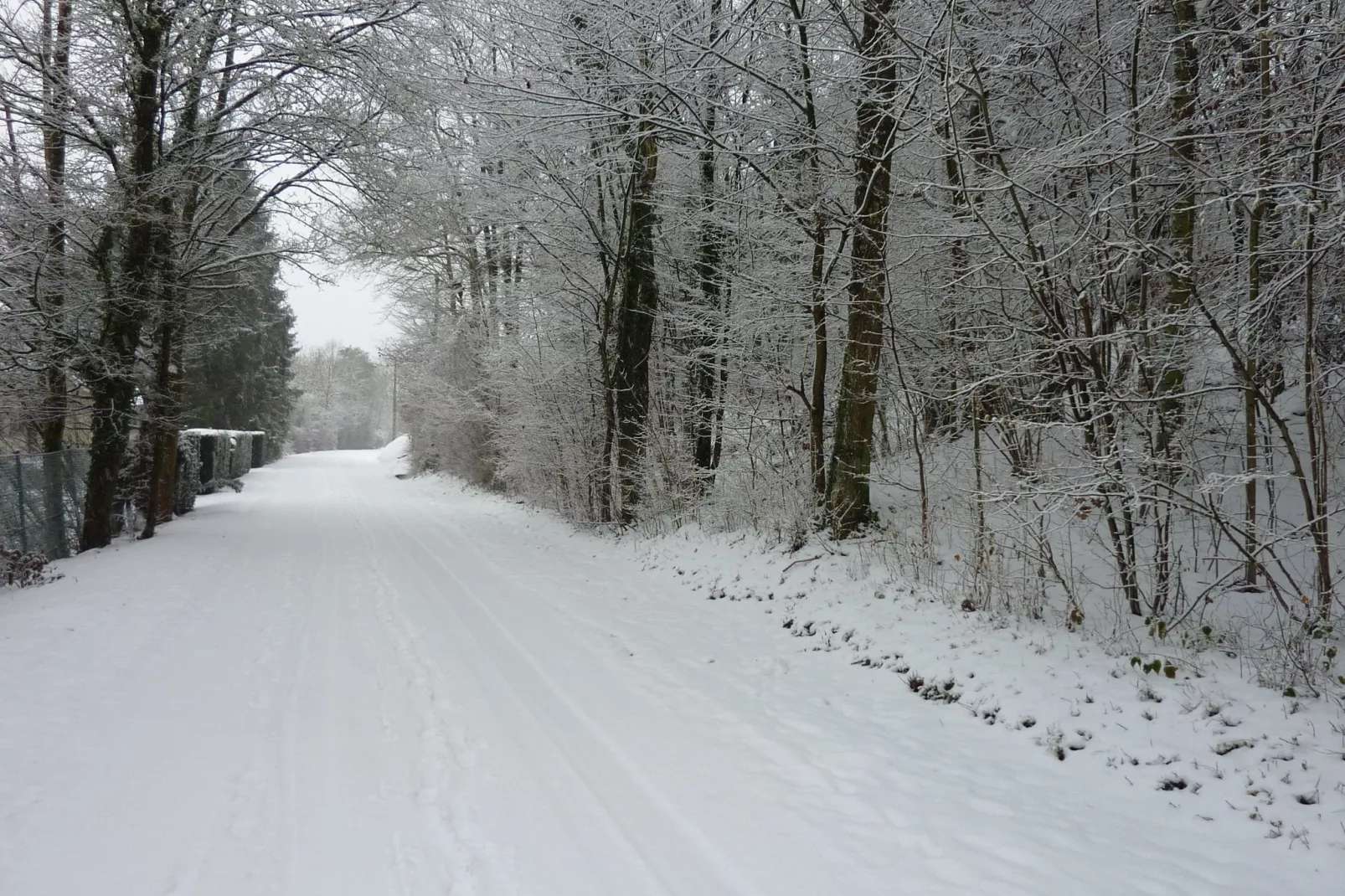 Domaine De L'Ecureuil 3-Tuin winter