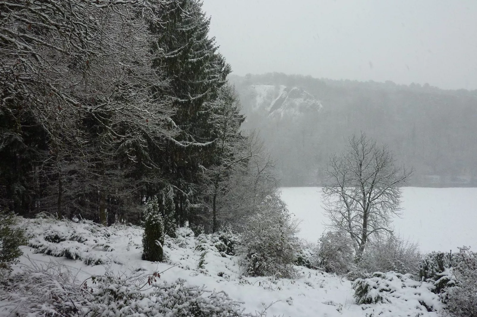 Domaine De L'Ecureuil 3-Tuin winter