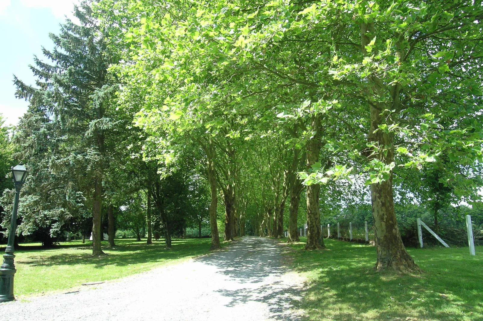 Domaine De L'Ecureuil 3-Gebieden zomer 1km