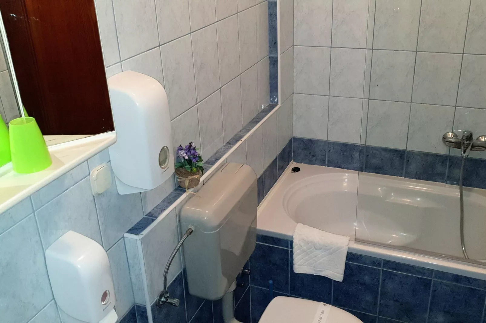 Villa Dubelj Dubrovnik -Deluxe Double or Twin Room with Balcony-Badkamer