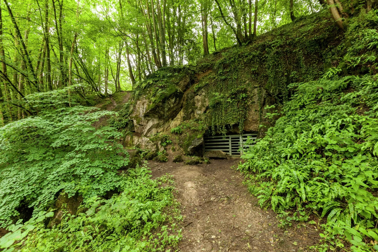 Domaine De L'Ecureuil 4-Gebieden zomer 5km