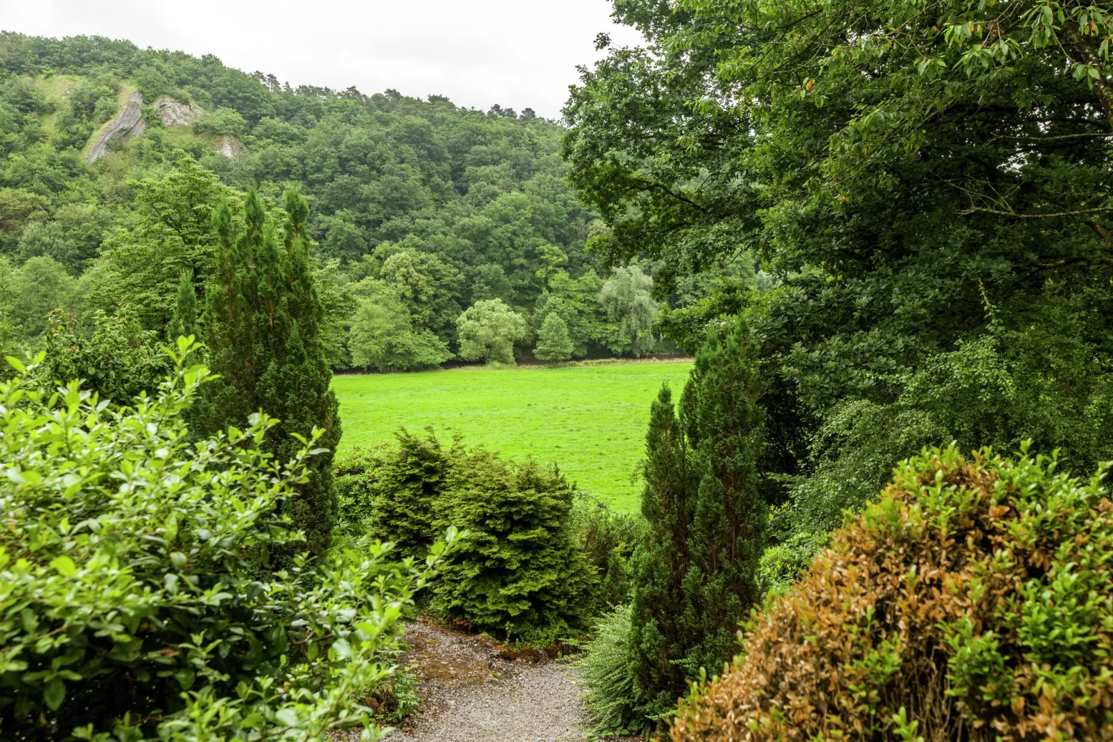 Trou de Reinard- Domaine Ecureuil-Gebieden zomer 5km