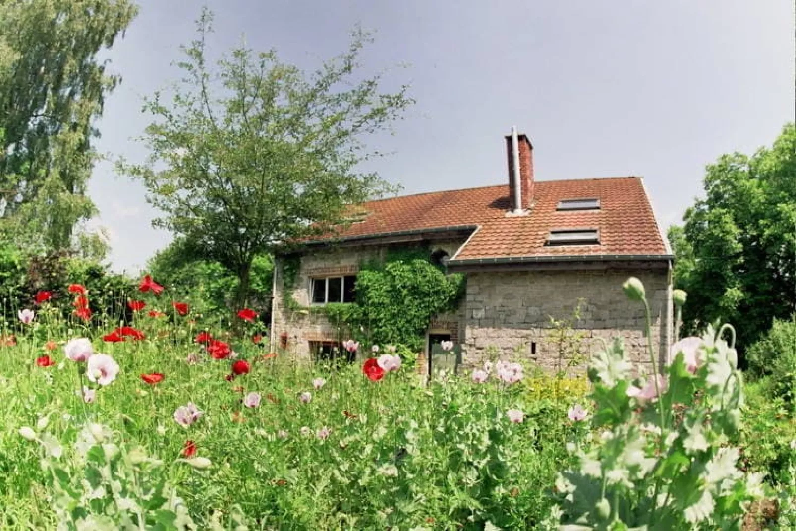 Biogite 100 pourcent nature 4 personnes-Buitenkant zomer