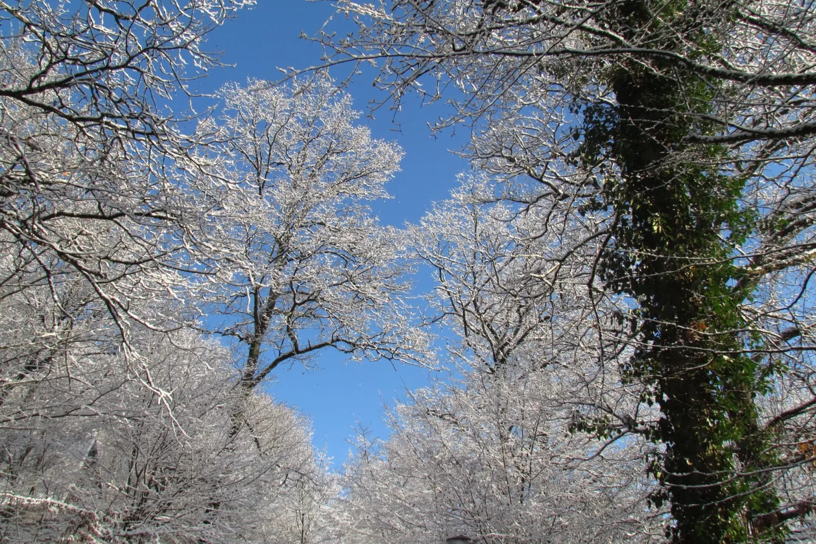 Le Colombier 204-Uitzicht winter