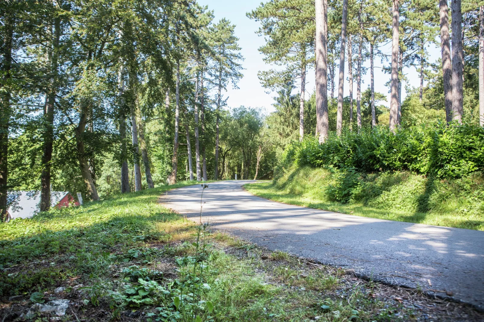 Chalet du Soleil-Gebieden zomer 5km