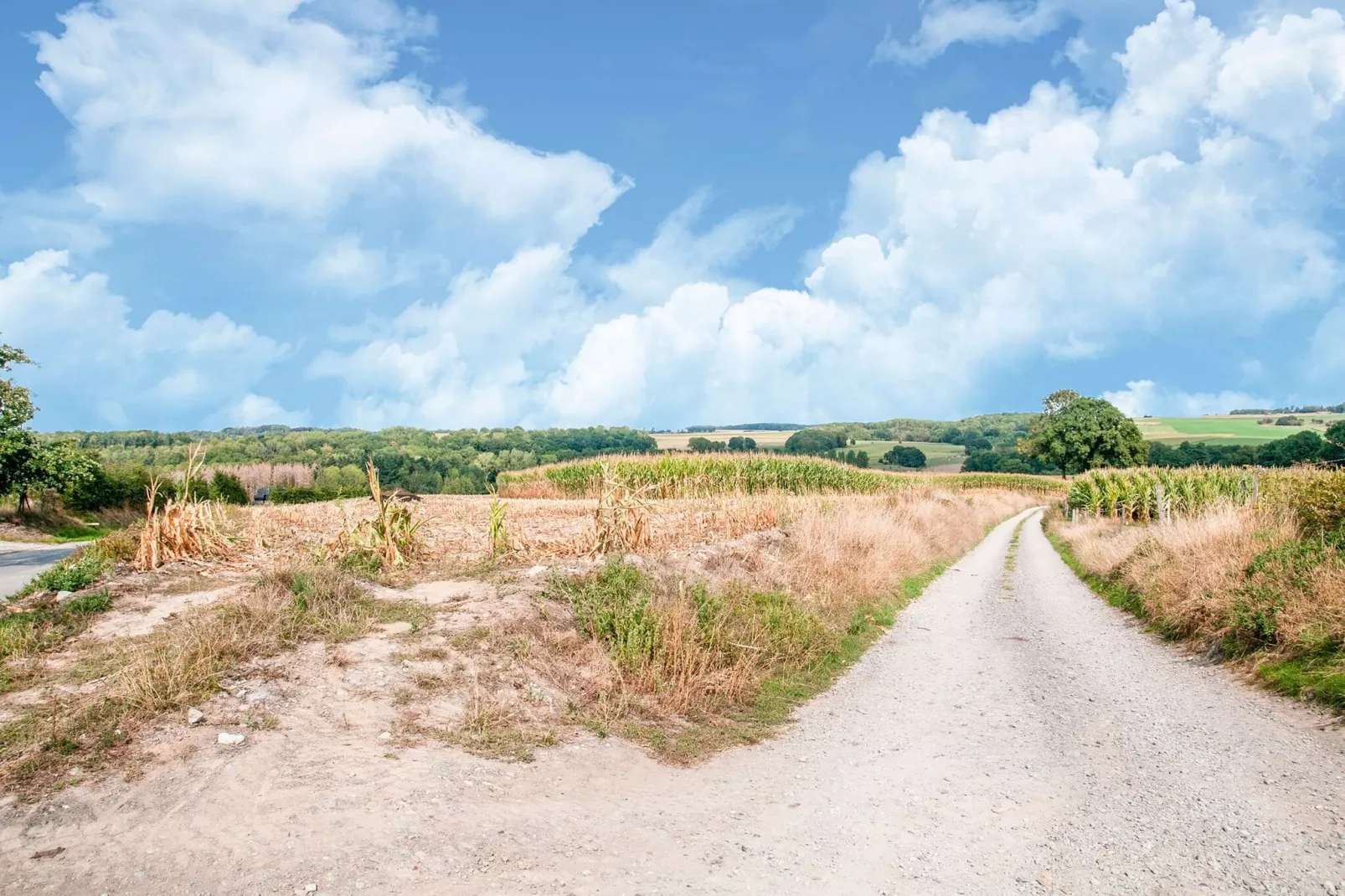 La Romaine-Gebieden zomer 1km