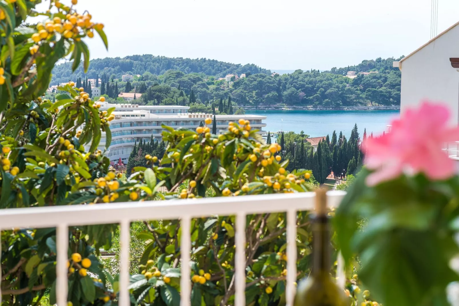 Villa Bind - Superior Double Room with Patio and Garden View (R2)-Uitzicht
