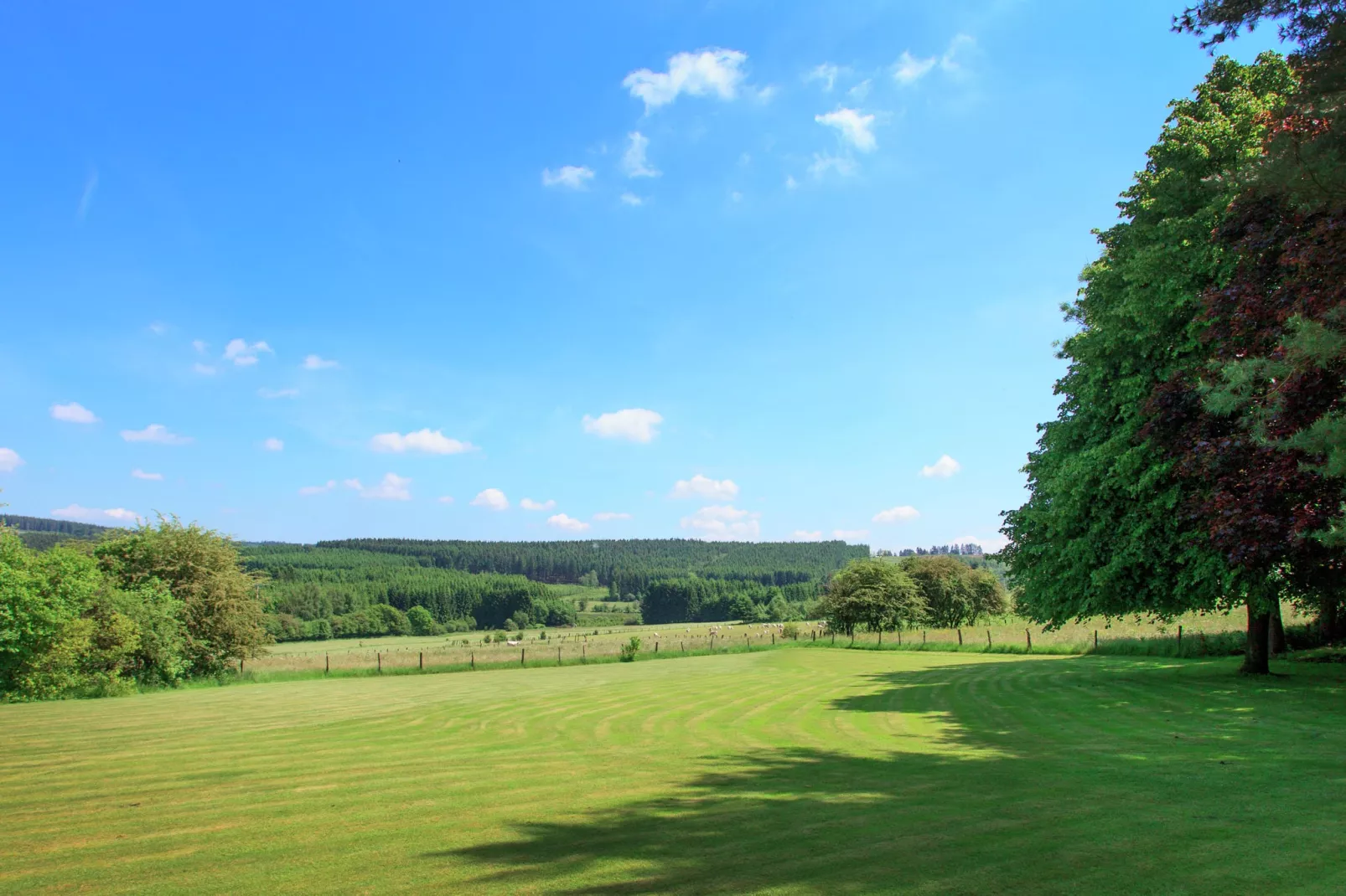 Villa Al Bounire-Uitzicht zomer