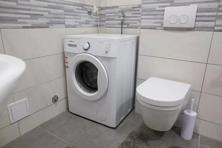 Serious Job Apartment - One Bedroom Apartment with Shared Terrace (veći)-Badkamer