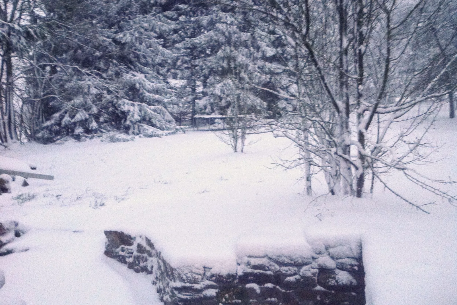 La Campanelle-Tuin winter