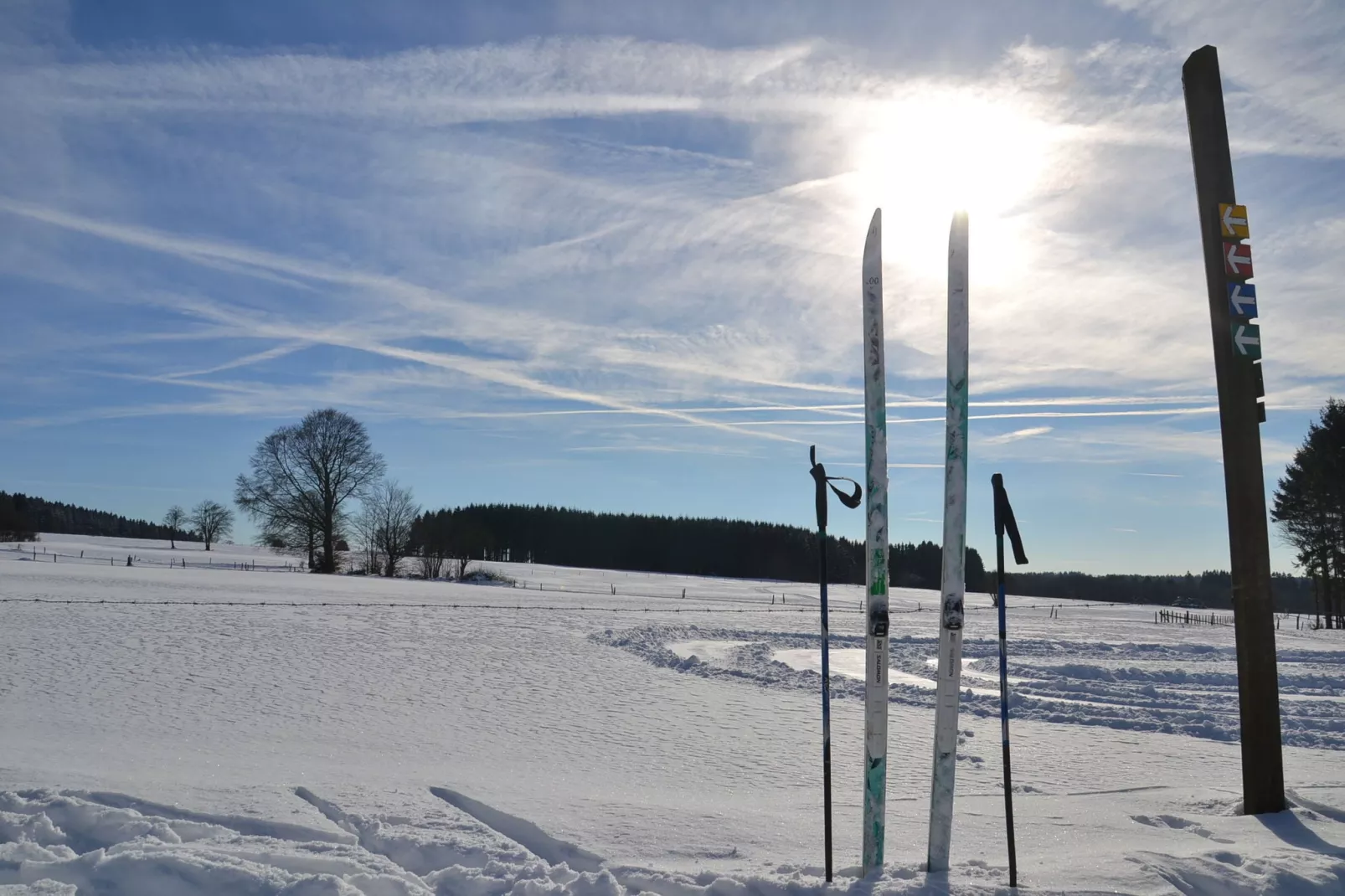 La Campanelle-Gebied winter 1km