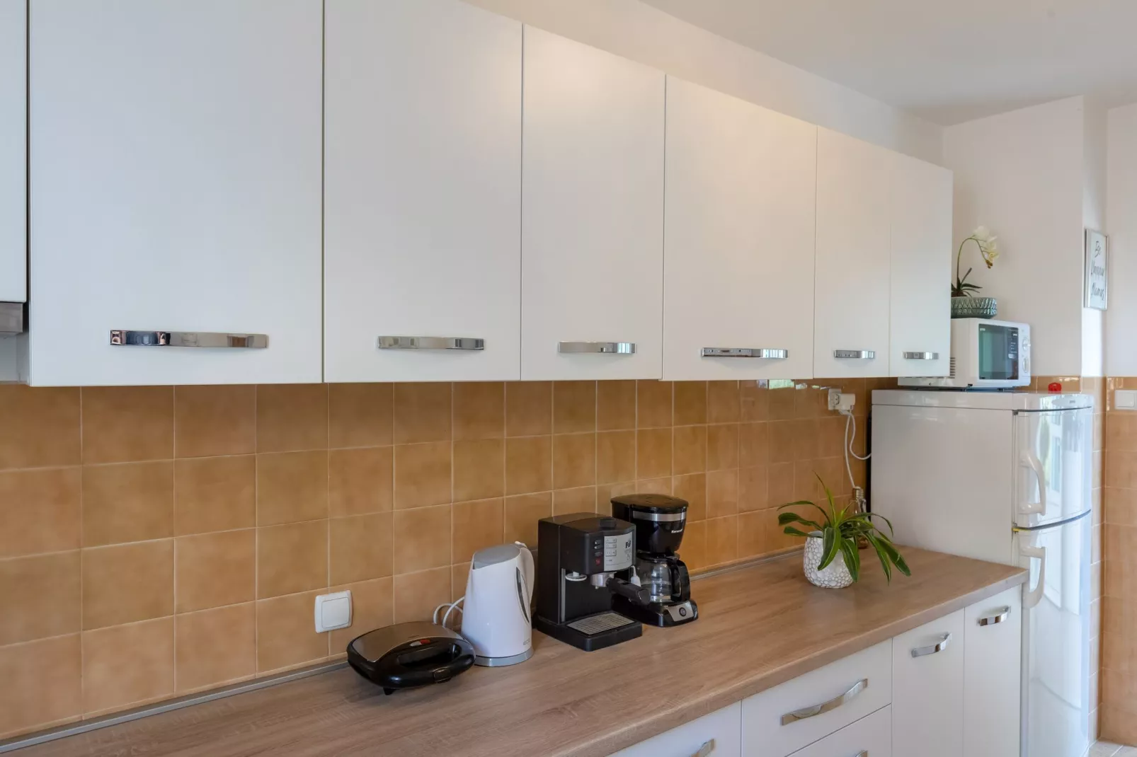 Apartments Blažević - Two Bedroom Apt with  Hot Tub-Keuken