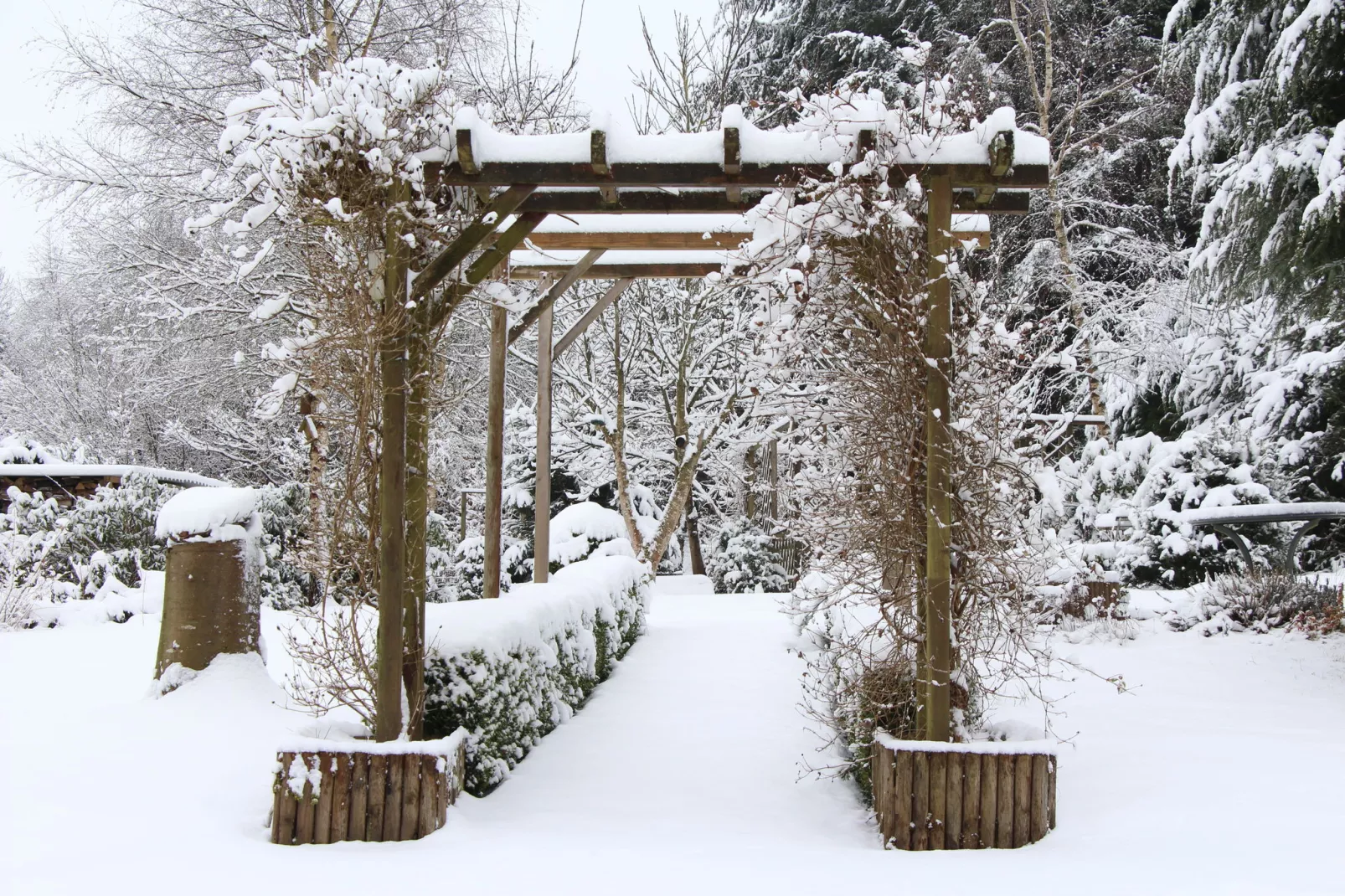 Maison Piérlu-Tuin winter