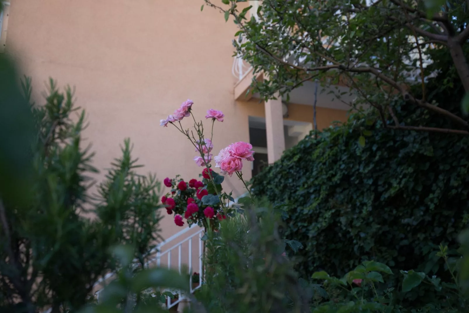 Villa Dubravka - Superior One Bedroom Apartment with Balcony and Sea View (Apartman 6)-Buitenlucht