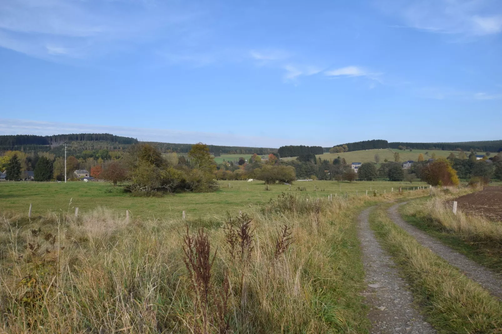 Chalet Bruyères-Gebieden zomer 20km