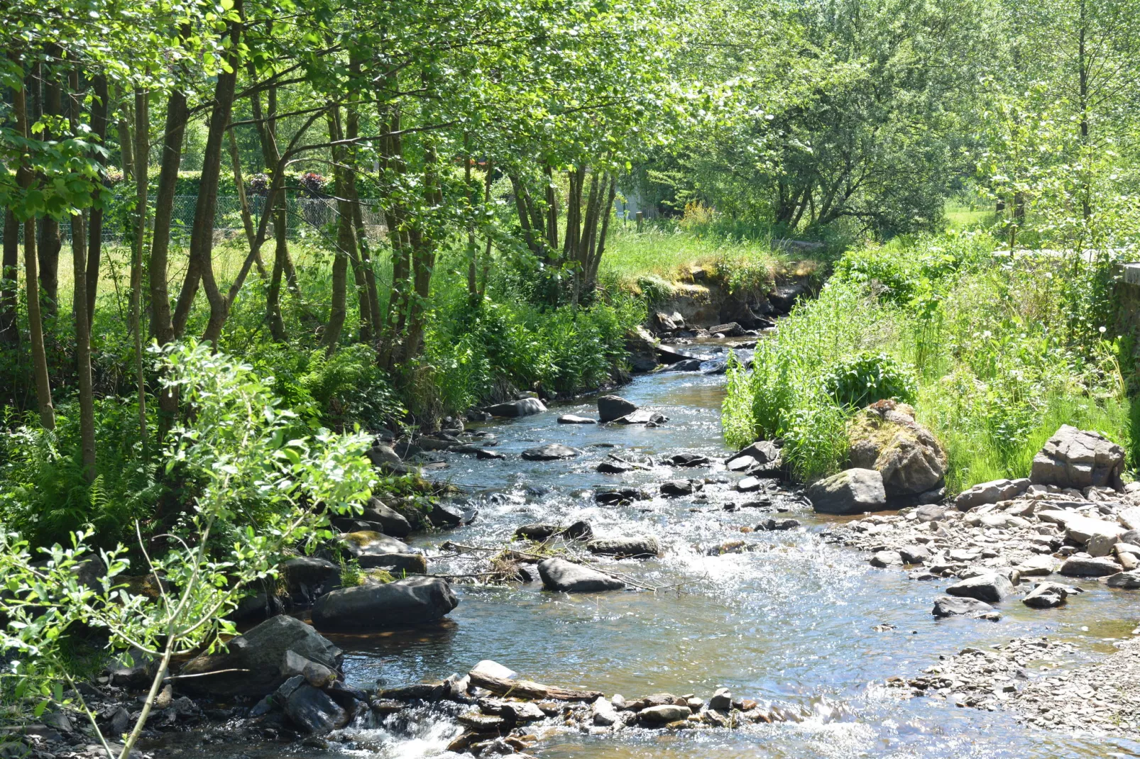 Au Bord de la Rivière-Gebieden zomer 1km