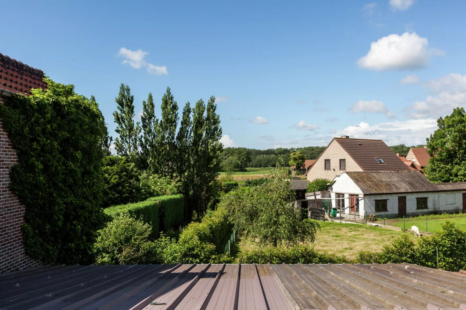 De Snoeibijl-Uitzicht zomer