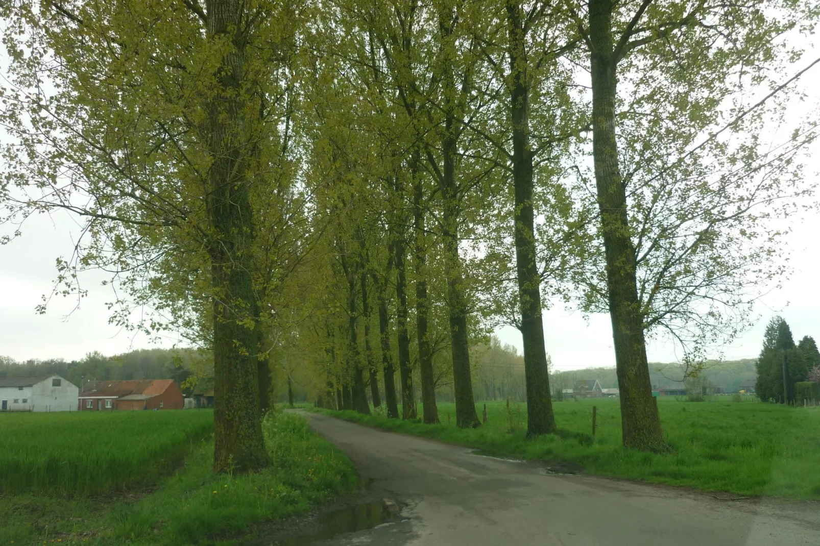 De Snoeibijl-Gebieden zomer 5km