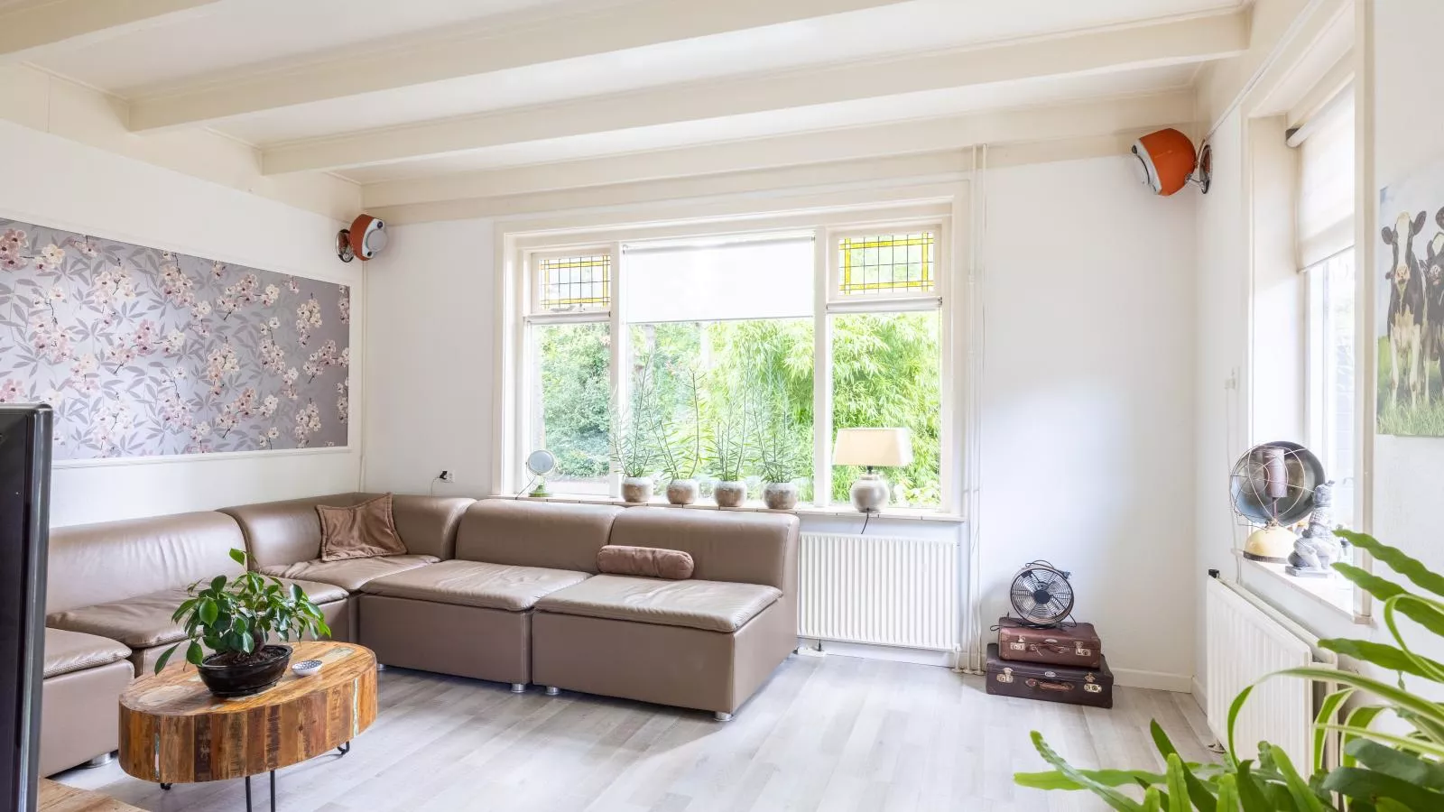 Cosy Bergen-Woonkamer