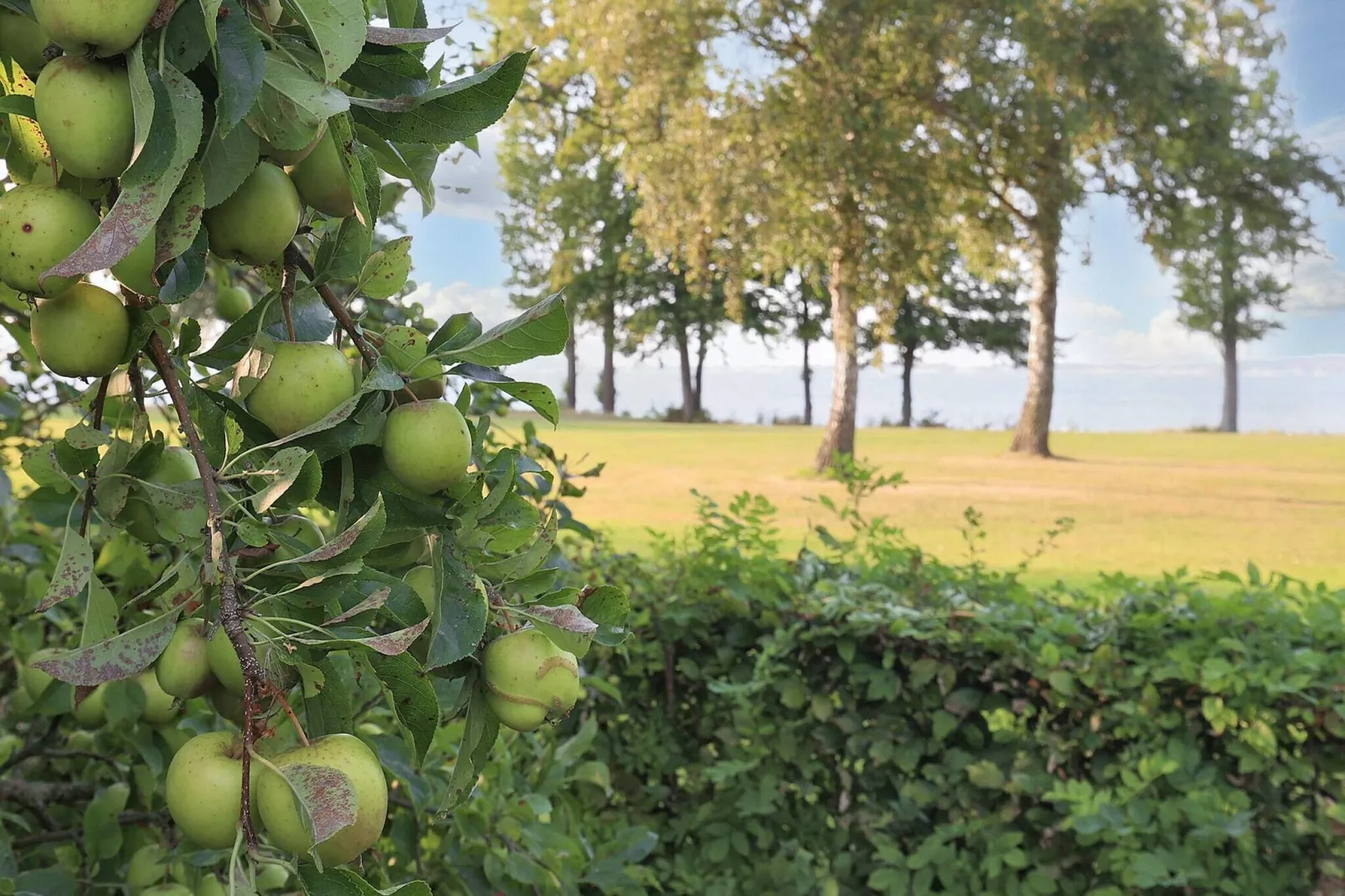 5 persoons vakantie huis in Stubbekøbing-By Traum-Waterzicht