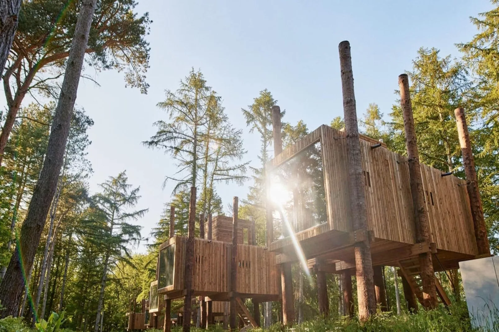 The TreeLoft by YourNature-Buitenkant zomer