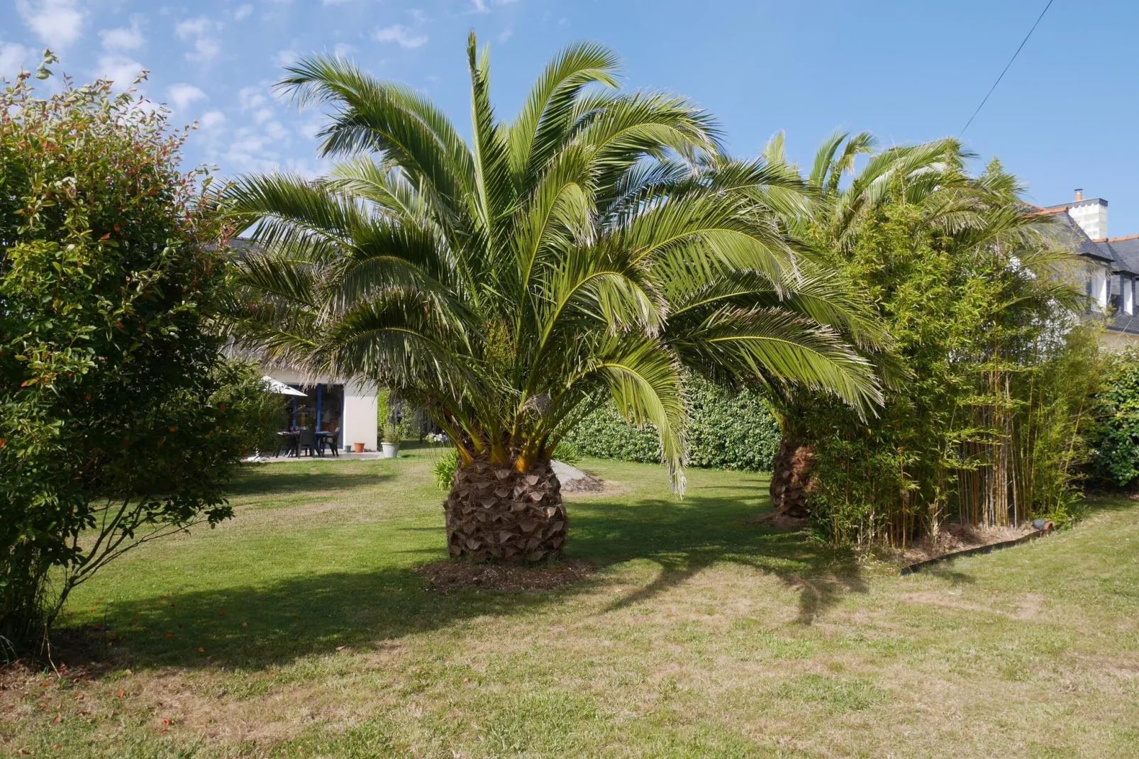 Ferienhaus Plounéour-Brignogan-Plages-Tuinen zomer