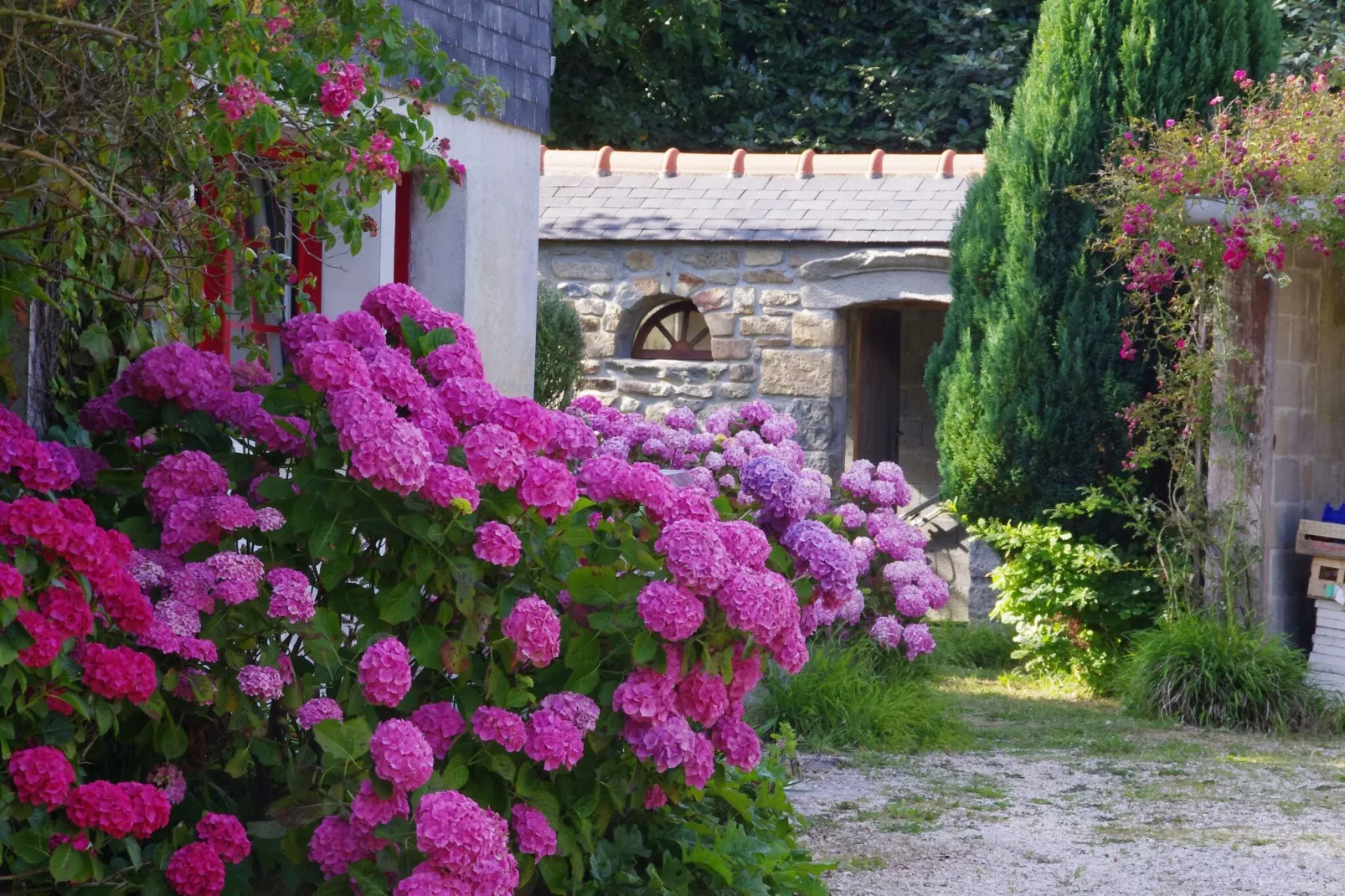 Natursteinhaus Ploudalmézeau-Portsall-Tuinen zomer