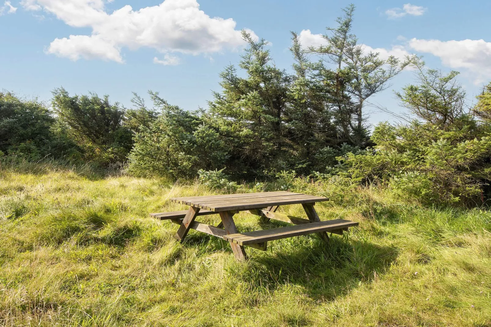 10 persoons vakantie huis in Harboøre-By Traum-Buitenlucht