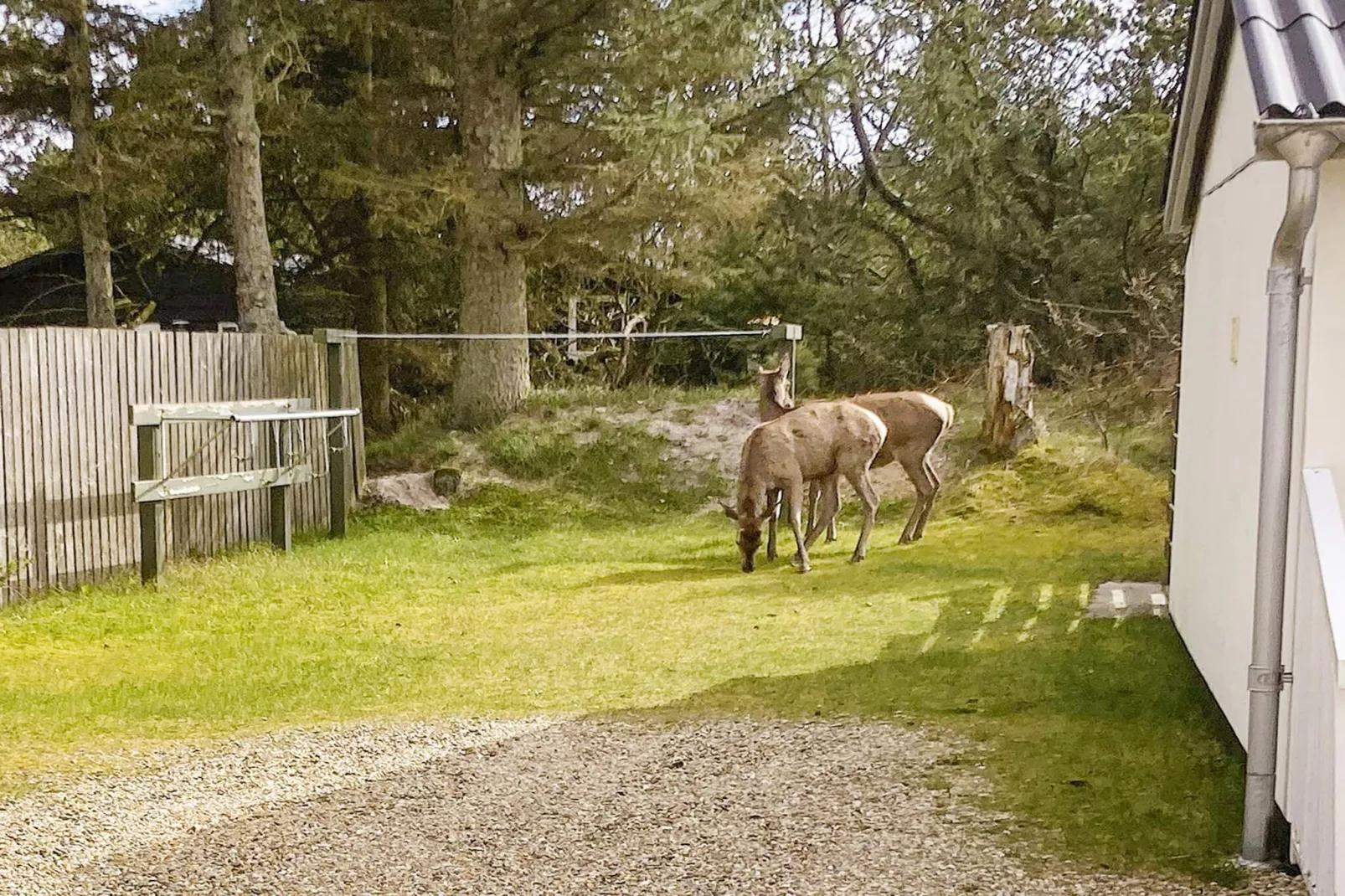 2 persoons vakantie huis in Vejers Strand-By Traum-Buitenlucht