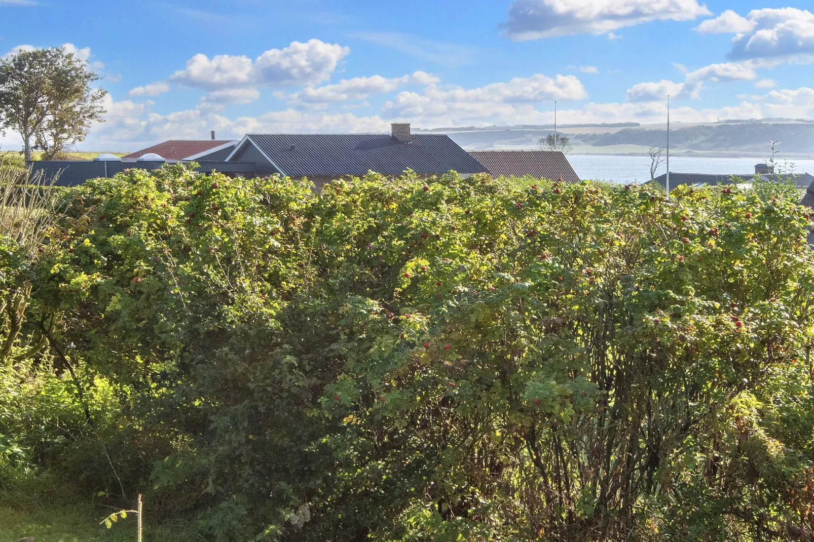 7 persoons vakantie huis in Lemvig-By Traum-Buitenlucht