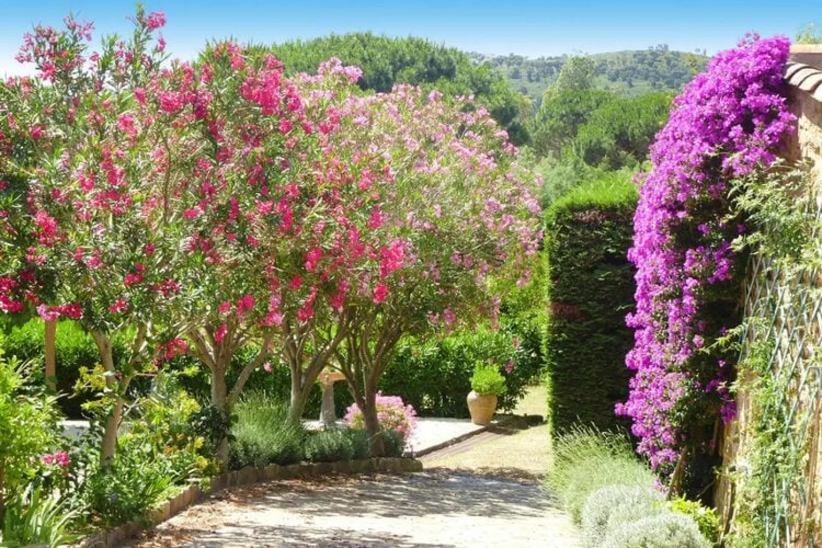 Doppelhaushälfte in Roquebrune-sur-Argens-Tuinen zomer