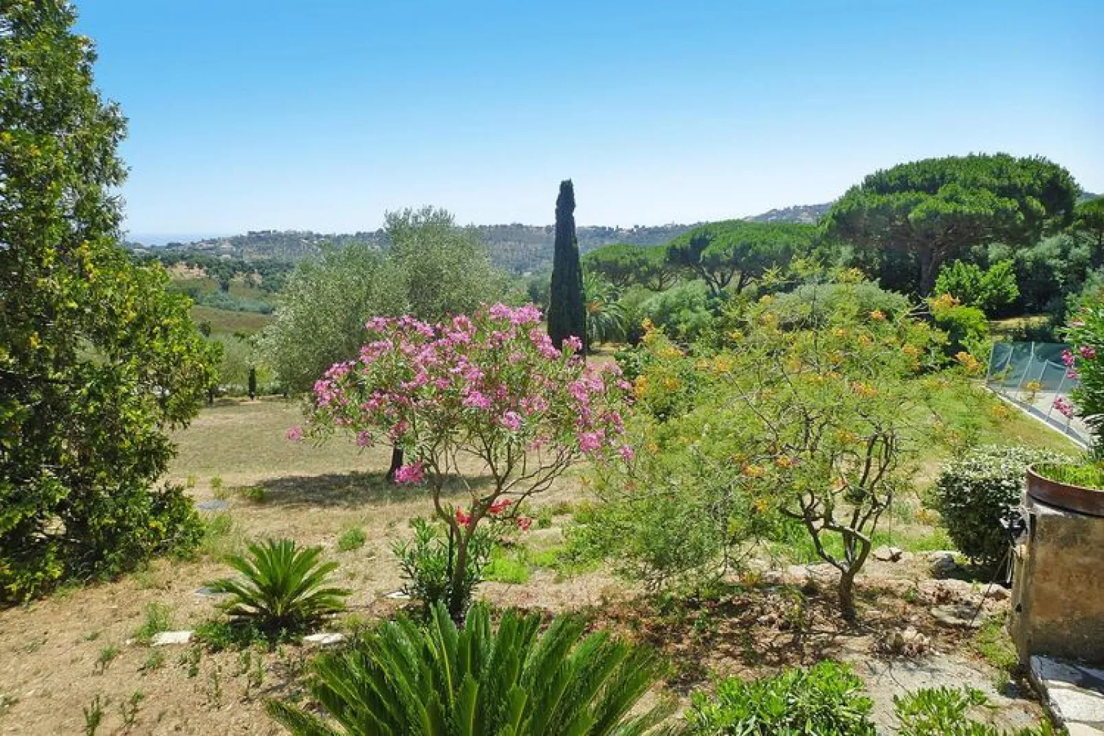 Doppelhaushälfte in Roquebrune-sur-Argens-Tuinen zomer