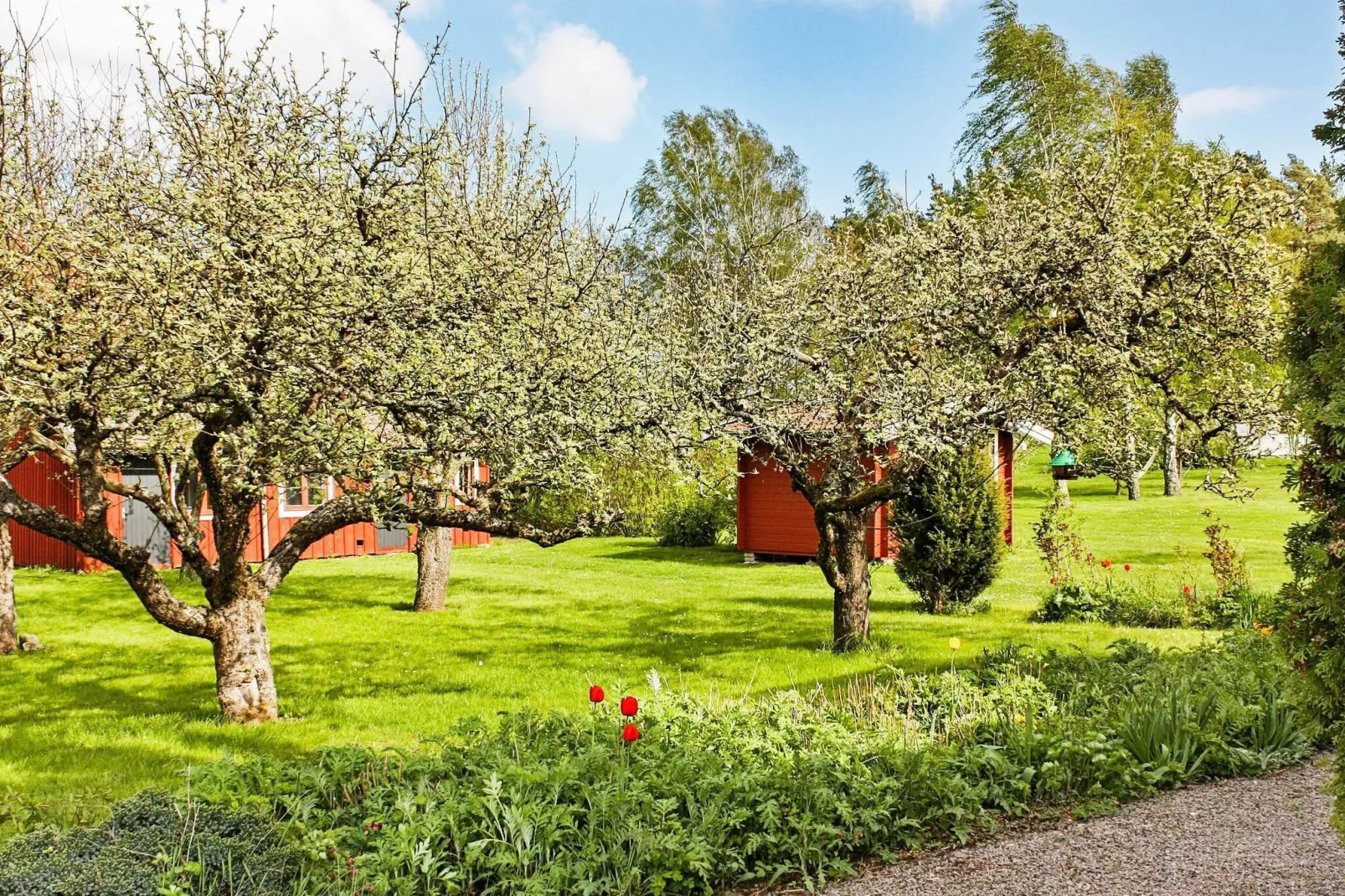 4 persoons vakantie huis in SÖDERÅKRA-By Traum-Buitenlucht