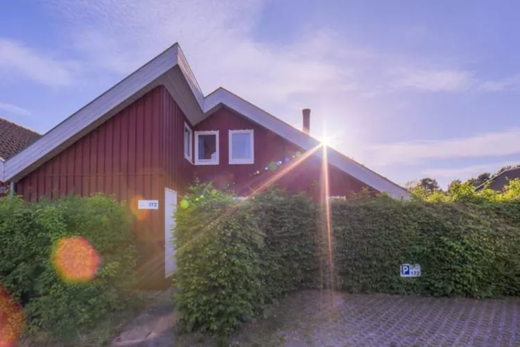 FH Wildgans Comfort Nr 172-Buitenkant zomer