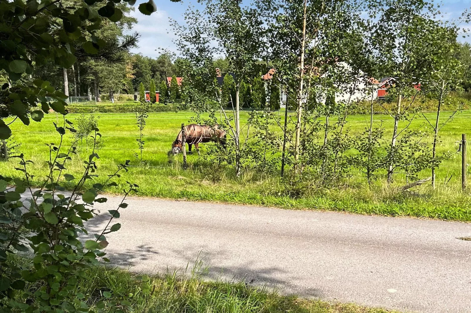8 persoons vakantie huis in HOVA-By Traum-Niet-getagd