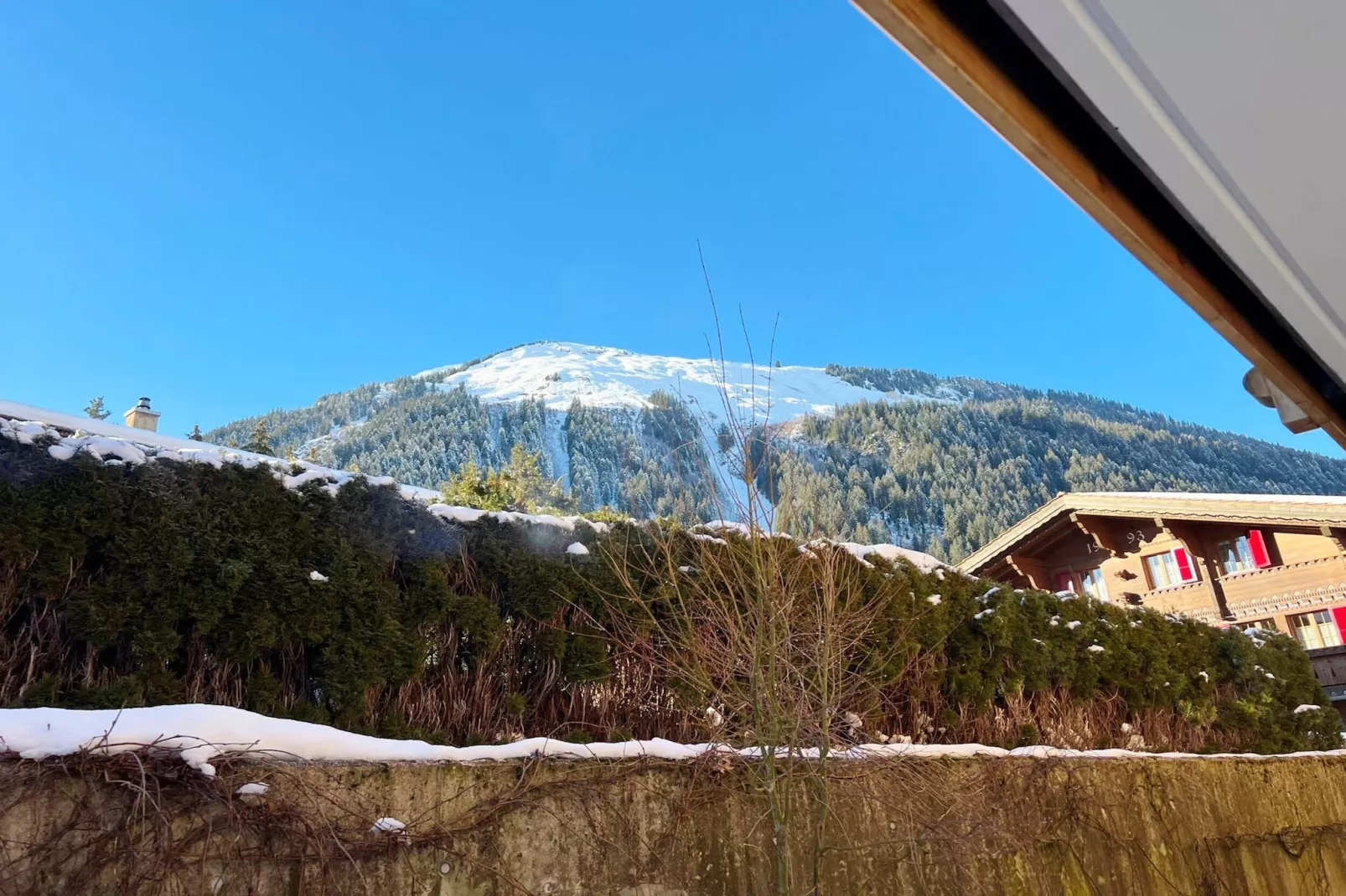 viewwinter